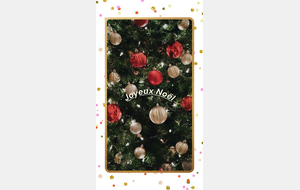 🌺 Joyeux Noël 🌺