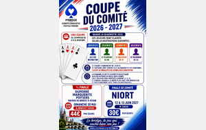 Coupe du Comité / 4 - Finale de Ligue- Niort