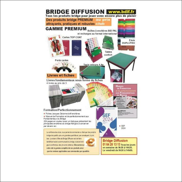 Brige Diffusion