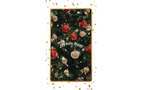 🌺 Joyeux Noël 🌺