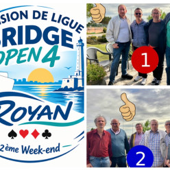 ♠️♥️Division de Ligue 04 ♦️♣️